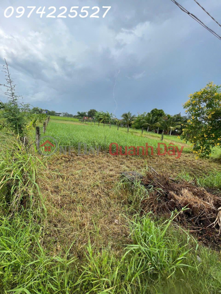 Property Search Vietnam | OneDay | Nhà ở | Niêm yết bán, Chính chủ cần bán lô đất siêu đẹp đường xe tải Xã Hòa Khánh, Tây Ninh, DT 480m2,giá đầu tư