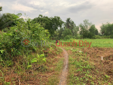 ️ Fragrant goods, only 2 lots left *** at Luong Hoa Ben Luc - Long An, right at Gia Mouth bridge entering _0