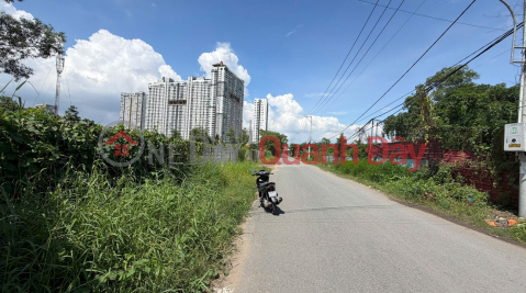 Hàng ngộp mặt tiền Đào Trí Quận 7 hơn 6.000m2 - Có dòng tiền cho thuê, giá cực tốt thị trường _0