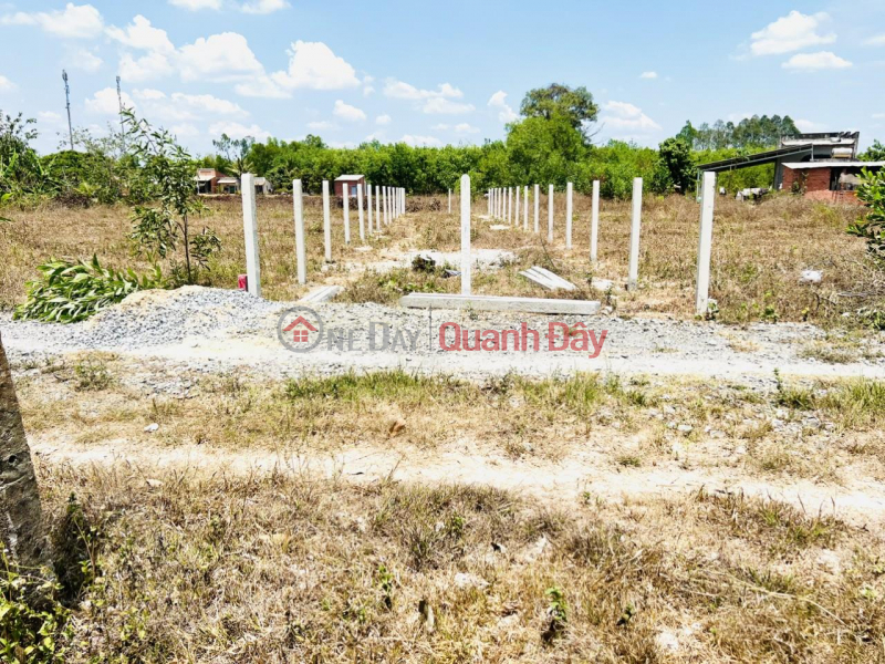 đ 250 Million BEAUTIFUL LAND - GOOD PRICE - Owner Needs to Sell Land Plot Quickly in Hoa Thanh Commune, Chau Thanh, Tay Ninh