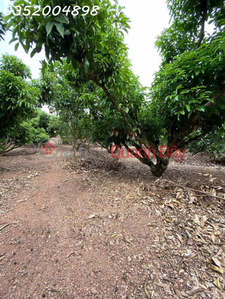  | Làm ơn chọn, Nhà ở Niêm yết bán, đ 1,9 tỷ