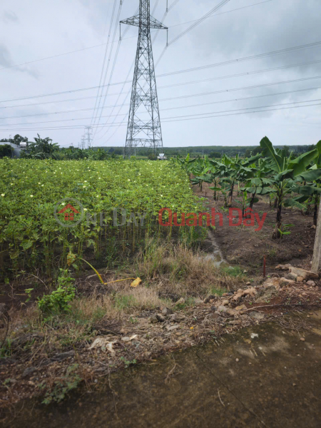 PRIME LAND – GOOD PRICE – OWNER SELLING AT Parallel Road to National Highway 20, Gia Tan 2 Commune, Thong Nhat District, Dong Nai Province, Vietnam | Sales | đ 500 Million