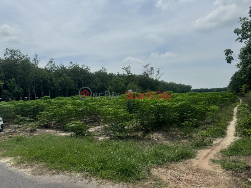 FOR OWNERS Quick SELL Lot of land, good location - good price in Lai Uyen - Bau Bang - Binh Duong Sales Listings