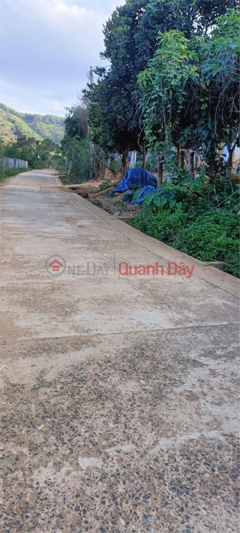 The owner needs to sell a plot of land for resort and tree planting in Khanh Son, Khanh Hoa - EXTREMELY GOOD PRICE _0