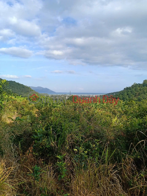 QUICK SALE: 2 PLOTS OF LAND IN VINH LUONG. Price: 250,000 VND\/m² _0