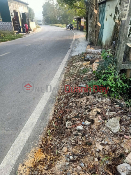 PRIME LAND - STREET FRONTAGE - Owner urgently selling a promising plot of land in My Duc, Hanoi., Vietnam, Sales | đ 1.45 Billion