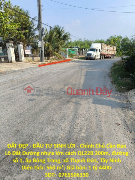 PRIME LAND - PROFITABLE INVESTMENT - Owner Needs to Sell a Plot of Land in Thanh Duc Commune, Tay Ninh Province Sales Listings