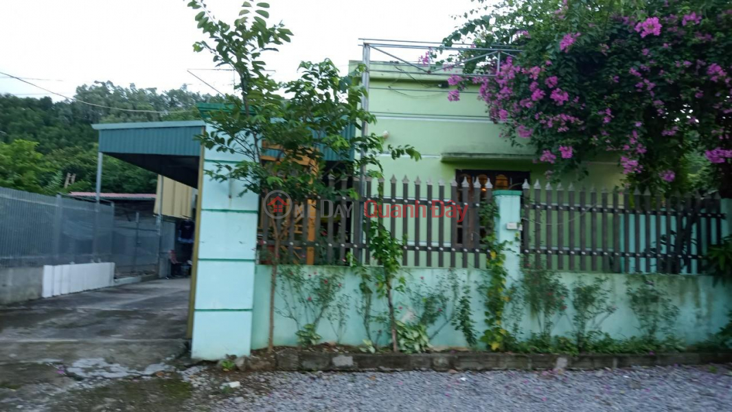 HOT!!! HOUSE By Owner - Good Price - House For Sale In Group 6 Tan Binh Tam Diep Ninh Binh Sales Listings