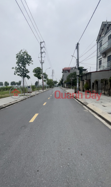 Auction land in Mai Lam commune, Dong Anh district, X1 Le Xa service area near Vin Co Loa Sales Listings