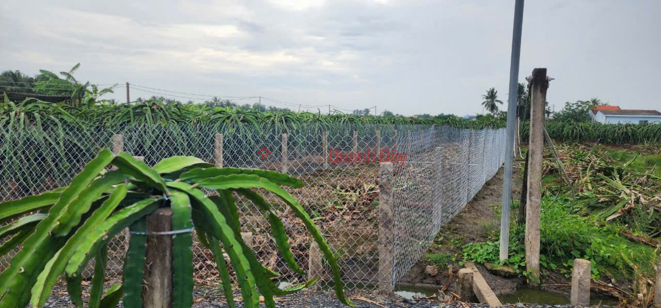 Beautiful Land for Sale - Beautiful Location in Hamlet 2 - Phuoc Tan Hung - Chau Thanh - Long An Sales Listings