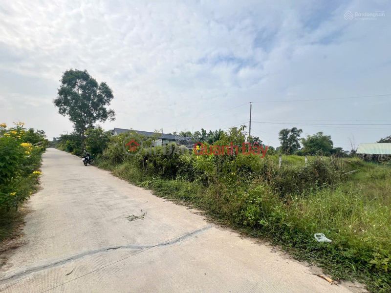 Property Search Vietnam | OneDay | Residential Sales Listings OWNER REDUCING PRICE, URGENT SALE OF BEAUTIFUL LAND IN DUC HOA DONG COMMUNE, NEAR THE EXPANDED ROAD 823D, EXCELLENT PRICE.