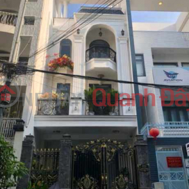 Khu Biệt Thự - Hồng Long, Phường 2 , Tân Bình _0