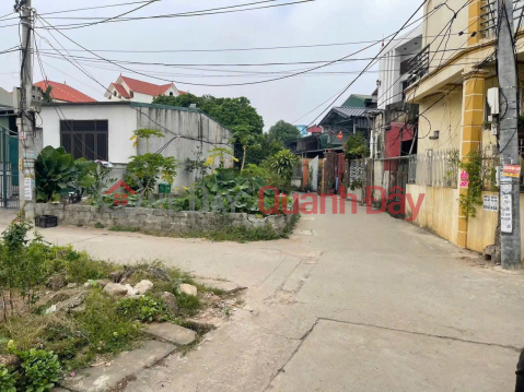 BEAUTIFUL LAND - GOOD PRICE - Corner lot with 2 street frontages located at the intersection of Bac Van and Hong Van streets, Thuong Tin, Hanoi _0