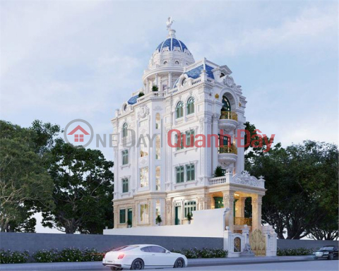 Neoclassical Super Villa FRONT OF Nun Huynh Lien 200m2 6 Floors only 60 billion Tan Binh _0