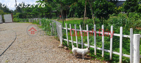 For sale: A prime 13,000m2 plot of residential land located right in the center of Chau Pha commune, surrounded by a stream. _0