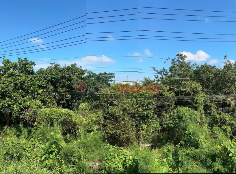 BEAUTIFUL LAND - PROFITABLE INVESTMENT - OWNER - House and Land for Sale in Tan Hoi Ward, Vinh Long City Vietnam Sales | đ 17 Billion