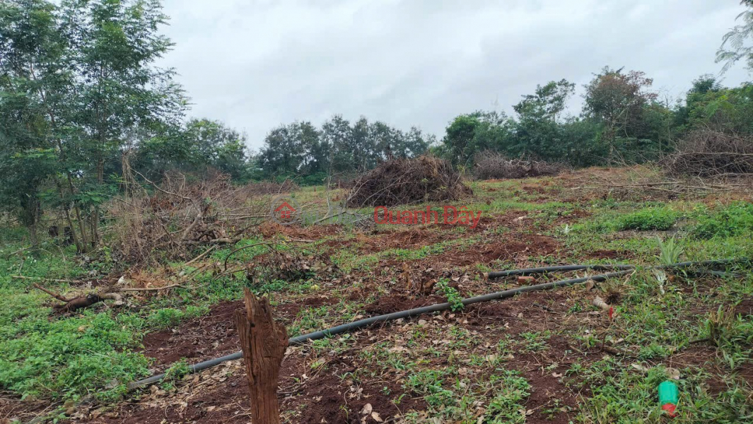 đ 200 triệu, ĐẤT ĐẸP- GIÁ TỐT CẦN BÁN NHANH lô đất tại Krong Ana tỉnh Đăk lăk