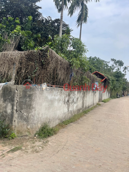 Property Search Vietnam | OneDay | Residential, Sales Listings | BACKING NGOC THUY BRIDGE - COOL, BEAUTIFUL SQUARE LAND SURROUNDING ALL FRUIT TREES - CAR ENTERING THE LAND.
