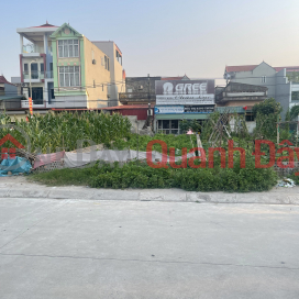 Land for sale at auction in Tien Duong commune on cheap business road _0