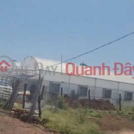 House and garden for sale, 1000m2, Duc Trong – Lam Dong - price 3.25 billion VND. _0