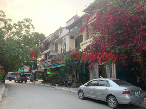 Cần bán căn nhà nằm trên đường Việt Bắc - khu Mai Xuân Dương - P. Đông Thọ _0