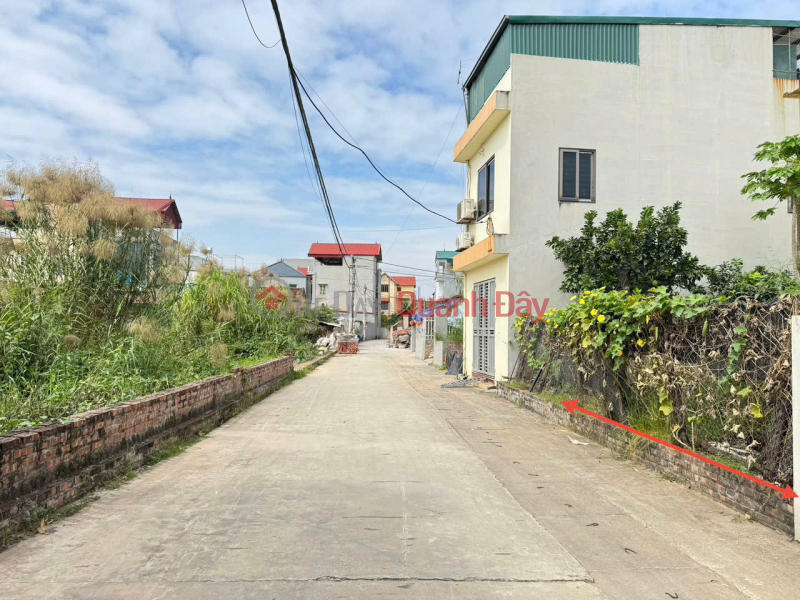 Bán 60m đất thôn Ấp Tre (Tổ 9),Quang Minh, TP HN. Đất vuông đẹp, đường thông, oto tránh Niêm yết bán