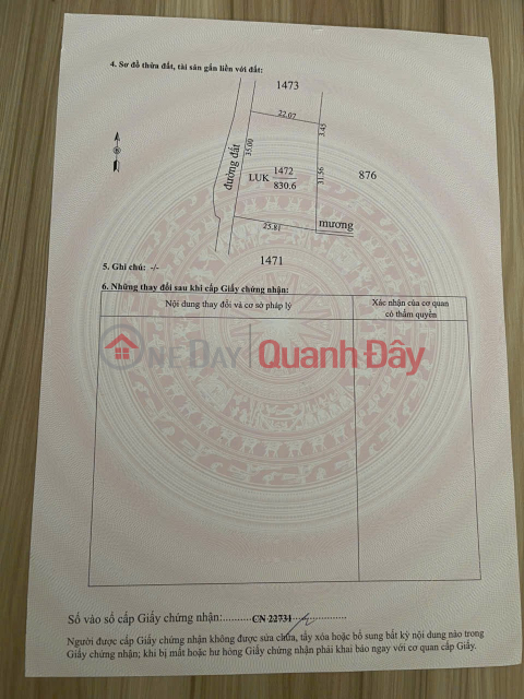 PRIME LAND - GREAT PRICE - QUICK SALE! INVESTMENT PLOT WITH HIGH PROFIT POTENTIAL IN TRANG BANG CITY, TAY NINH PROVINCE _0