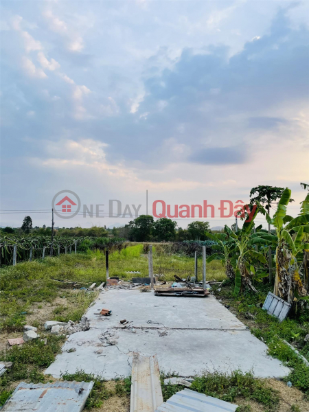Owner Needs Urgent Sale Land Lot 5000m2 Perennial Plants In Ham Liem Vietnam | Sales, đ 1.45 Billion