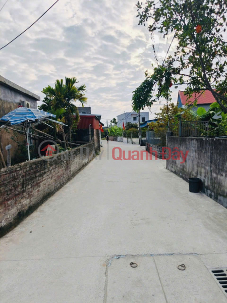 đ 1.52 Billion CORNER PLOT IN VONG HAI AREA – 2 SIDES FACING ALLEYS, SUITABLE SIZE FOR YOUR BUDGET. CONTACT US VIA ZALO 0567 222 555