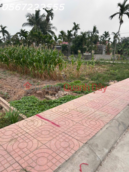 đ 1,98 tỷ Bán đất nhà vườn mặt đường trục thôn Kính Trực, Tân Phong chỉ 1,9xx tỷ - ZALO 0567 222 555