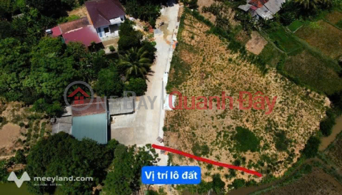 PRIME LOCATION - INVESTMENT OPPORTUNITY - OWNER SELLING LAND PLOT IN THO CUONG, TRIEU SON, THANH HOA _0