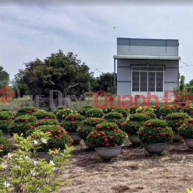 HOUSE IN A PRIME LOCATION - OWNER SELLING Vacation Home in Long Dien, BR-VT (Long Dien Commune, Ho Chi Minh City) _0
