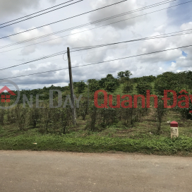 Land for sale on Highway 28B Duc Trong, Lam Dong, 10 x 50m, (200)m2 TC, _0