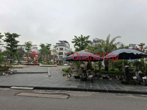 Land for sale in Ngoc Thuy Long Bien, street front for business _0