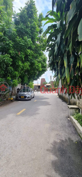 Urgent sale of Van Dien land with car on land 52 million\\/m2. Good news, go see now Vietnam, Sales | đ 4.85 Billion