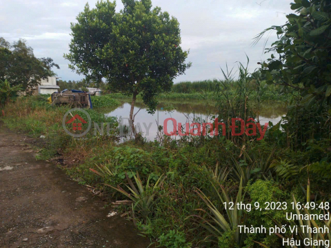 The owner needs to sell land in Hau Giang City for only 220 million _0