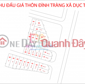 Land for sale at Dinh Trang Duc Tu Dong Anh Auction House 83.68m, corner lot of business street _0