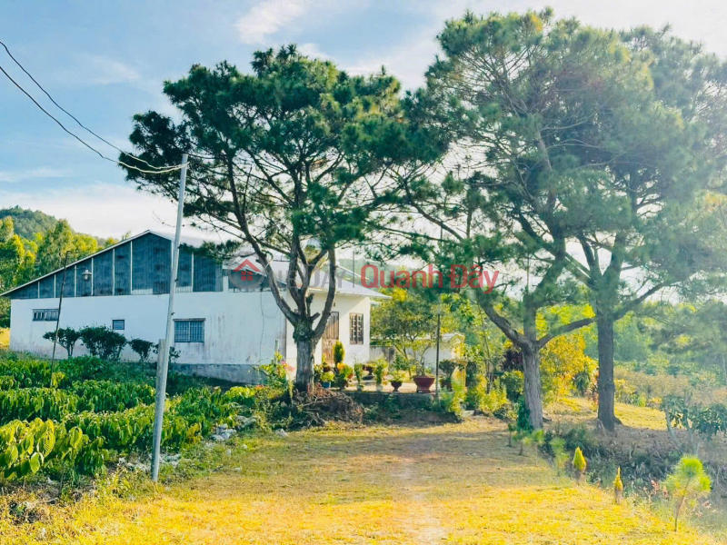 Property Search Vietnam | OneDay | Residential | Sales Listings, 725TR - Anticipating the highway interchange - Residential land near Da Lat is now only a matter of days away.