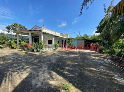 Owner selling land with two road frontages on Provincial Road 839, Duc Hue - 2,712m2, fully residential land, with a ready-built level 4 house. _0