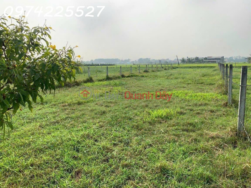 Chính chủ cần bán lô đất siêu đẹp đường xe tải Xã Hòa Khánh, Tây Ninh, DT 480m2,giá đầu tư Việt Nam Bán đ 3,7 tỷ