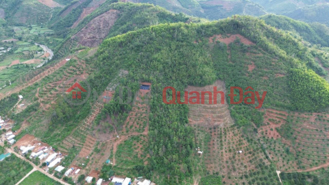 The owner needs to sell a plot of land for resort and tree planting in Khanh Son, Khanh Hoa - EXTREMELY GOOD PRICE _0