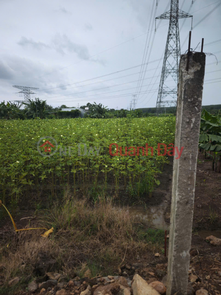 đ 500 Million PRIME LAND – GOOD PRICE – OWNER SELLING AT Parallel Road to National Highway 20, Gia Tan 2 Commune, Thong Nhat District, Dong Nai Province