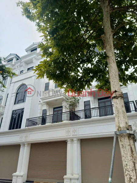 Property Search Vietnam | OneDay | Residential | Sales Listings, New Rare Beautiful. Ngo Quyen Street Front - Thai Binh City, house for sale, Area 80 m²