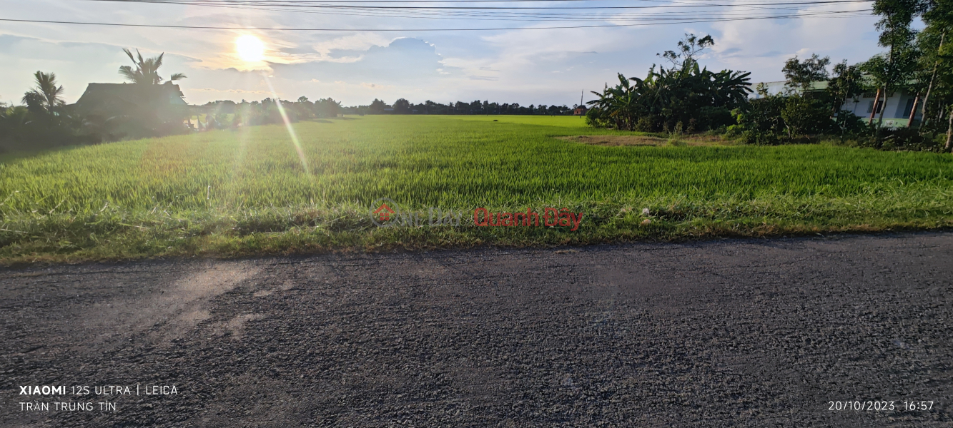 đ 5 Billion Selling a plot of rice land for a warehouse near National Highway 50B for 5 billion