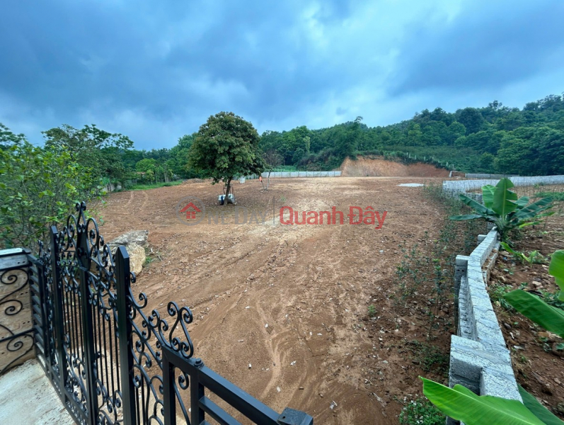 Property Search Vietnam | OneDay | Residential Sales Listings OWNER NEEDS TO SELL URGENTLY - SUPER BEAUTIFUL LAND PRODUCT IN YEN BAI (OLD VAN HOA),BA VI, HANOI