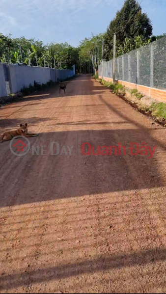 ĐẤT 2 MẶT TIỀN - ĐẦU TƯ SINH LỜI - Chính Chủ Cần Bán Tại Xã Lai Hưng, Bàu Bàng, Bình Dương | Việt Nam Bán, đ 1,6 tỷ