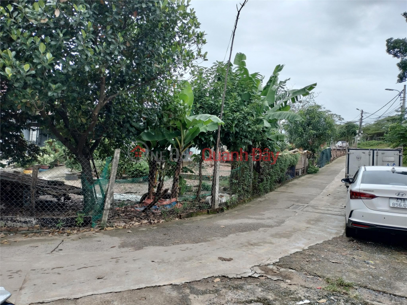 BEAUTIFUL LAND IN HOA THO TAY – CENTRAL LOCATION, HIGH AND DRY – ONLY 2.15 BILLION! | Vietnam Sales, đ 2.15 Billion