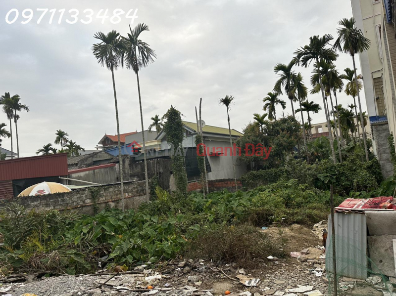 Residential land for sale by owner in Duong Quan Commune, Thuy Nguyen, area 205.4m2, investment price Vietnam Sales | ₫ 17 Million