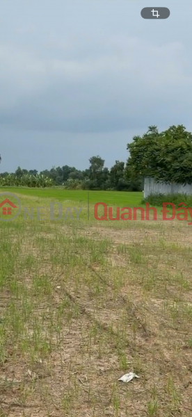Làm ơn chọn, Niêm yết cho thuê đ 50 triệu/ tháng