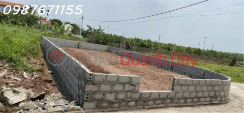 Bán đất tại Xã Tân Dân, Khoái Châu, Hưng Yên, 2,55 tỷ, 107,7 m2 đẹp, nhiều tiện ích _0